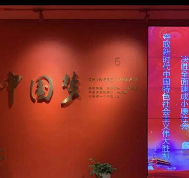 逃离金刚鹦鹉森林