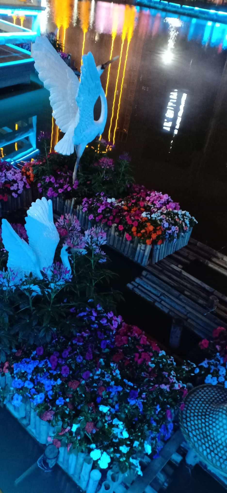 哆啦A梦3奇迹之岛